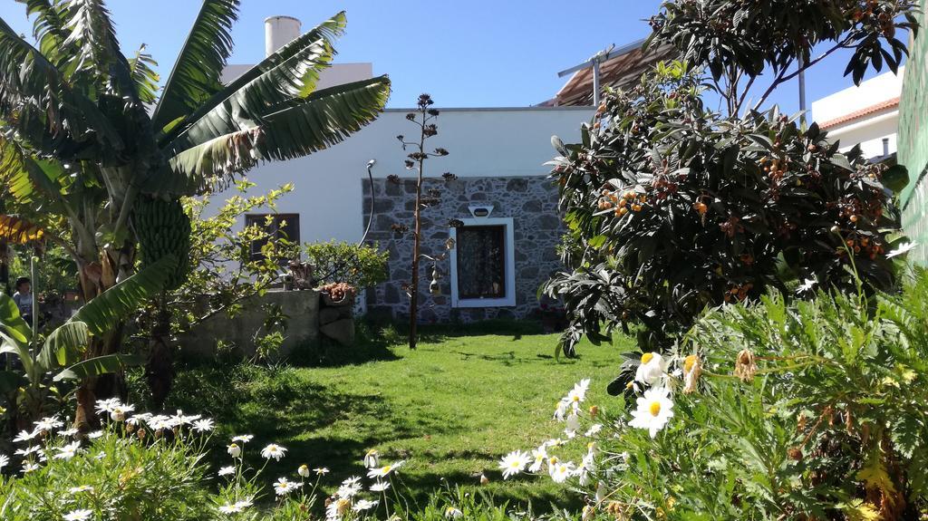 Villa Canaria Piscina Jacuzzi Jardin Santa Maria de Guia de Gran Canaria Экстерьер фото