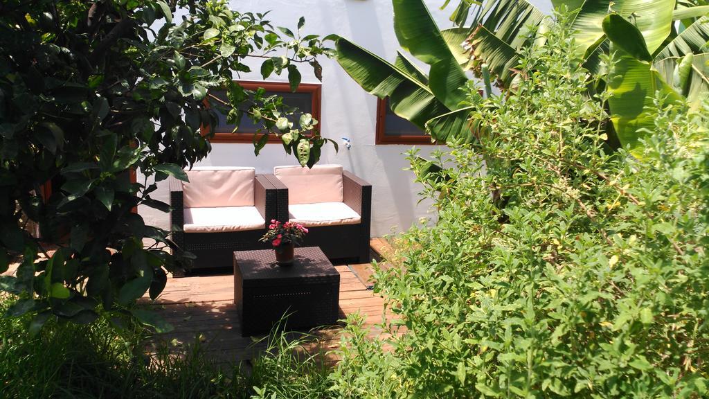 Villa Canaria Piscina Jacuzzi Jardin Santa Maria de Guia de Gran Canaria Экстерьер фото