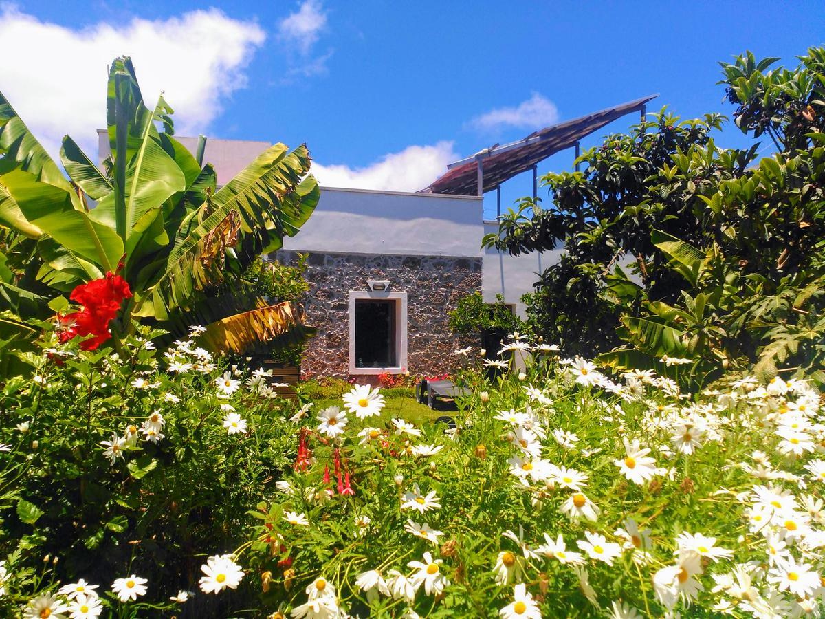 Villa Canaria Piscina Jacuzzi Jardin Santa Maria de Guia de Gran Canaria Экстерьер фото