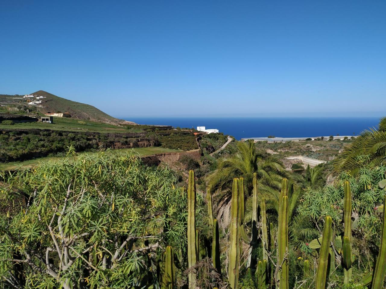 Villa Canaria Piscina Jacuzzi Jardin Santa Maria de Guia de Gran Canaria Экстерьер фото