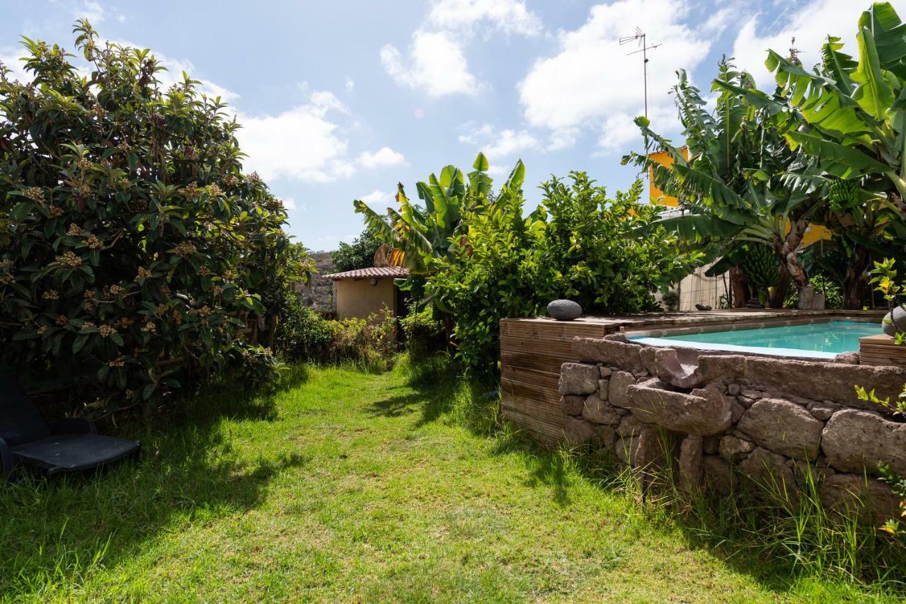 Villa Canaria Piscina Jacuzzi Jardin Santa Maria de Guia de Gran Canaria Экстерьер фото