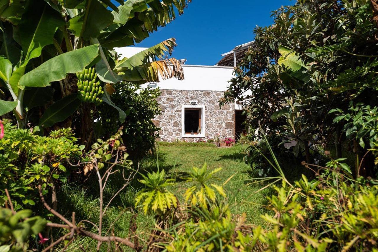 Villa Canaria Piscina Jacuzzi Jardin Santa Maria de Guia de Gran Canaria Экстерьер фото